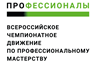 У нас призер в региональном этапе Всероссийского чемпионата «Профессионалы»